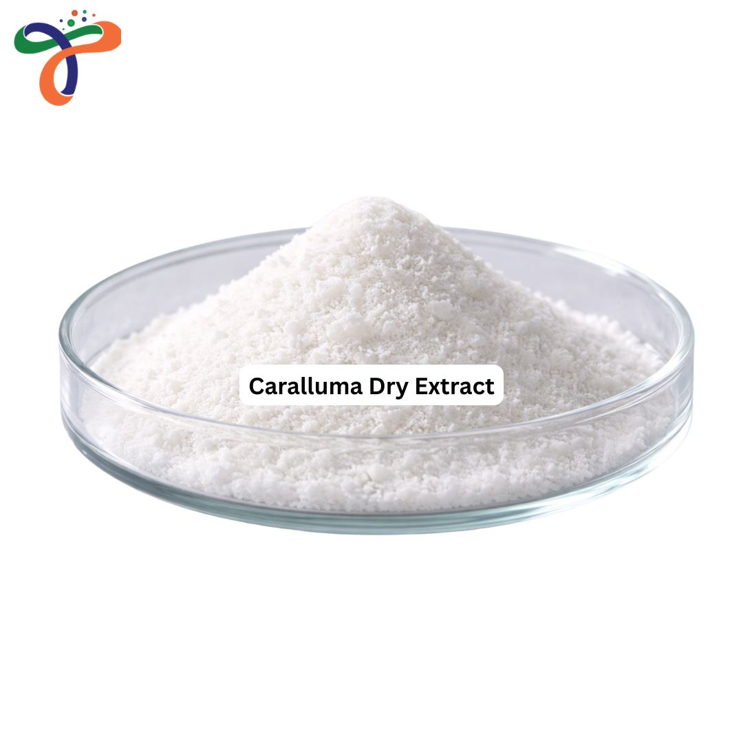 Caralluma Dry Extract